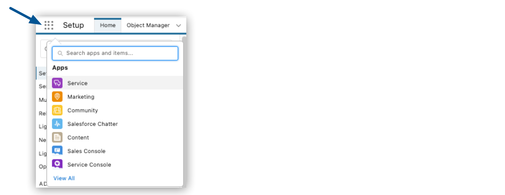 The Setup menu with Home and Service options highlighted