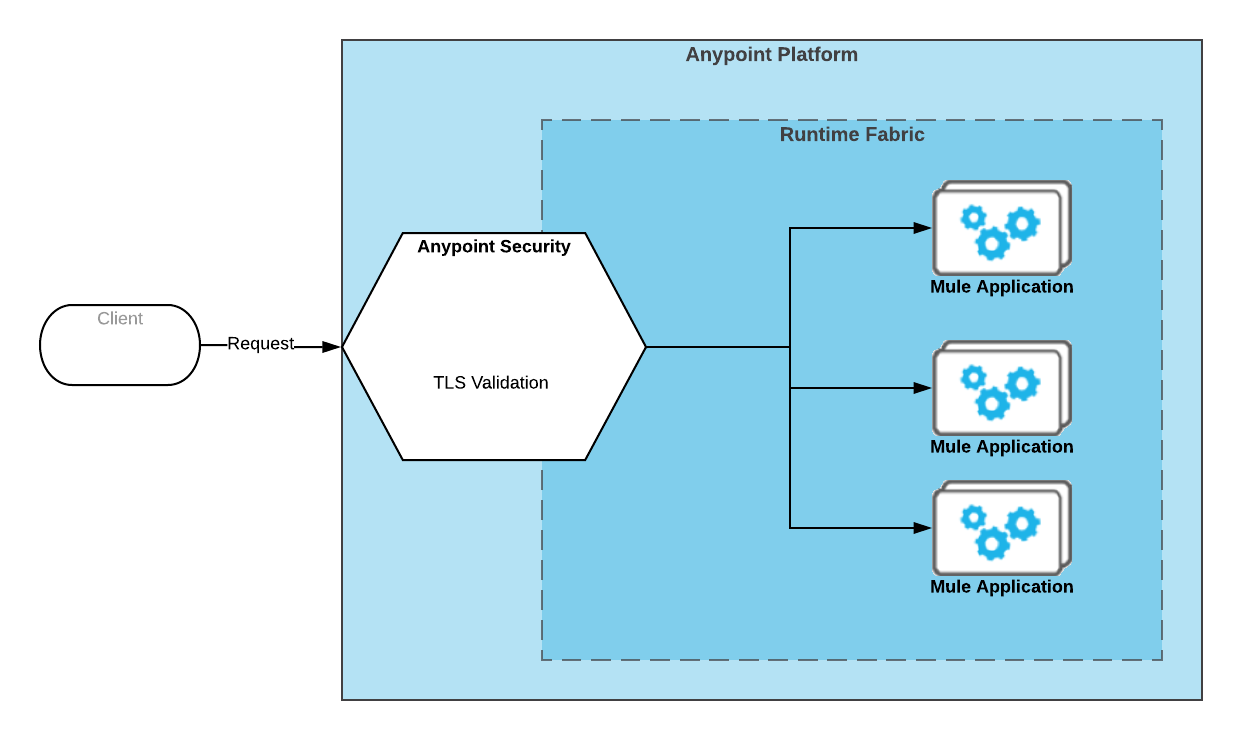Mule apps in Runtime Fabric protected by the request endpoint with TLS validation