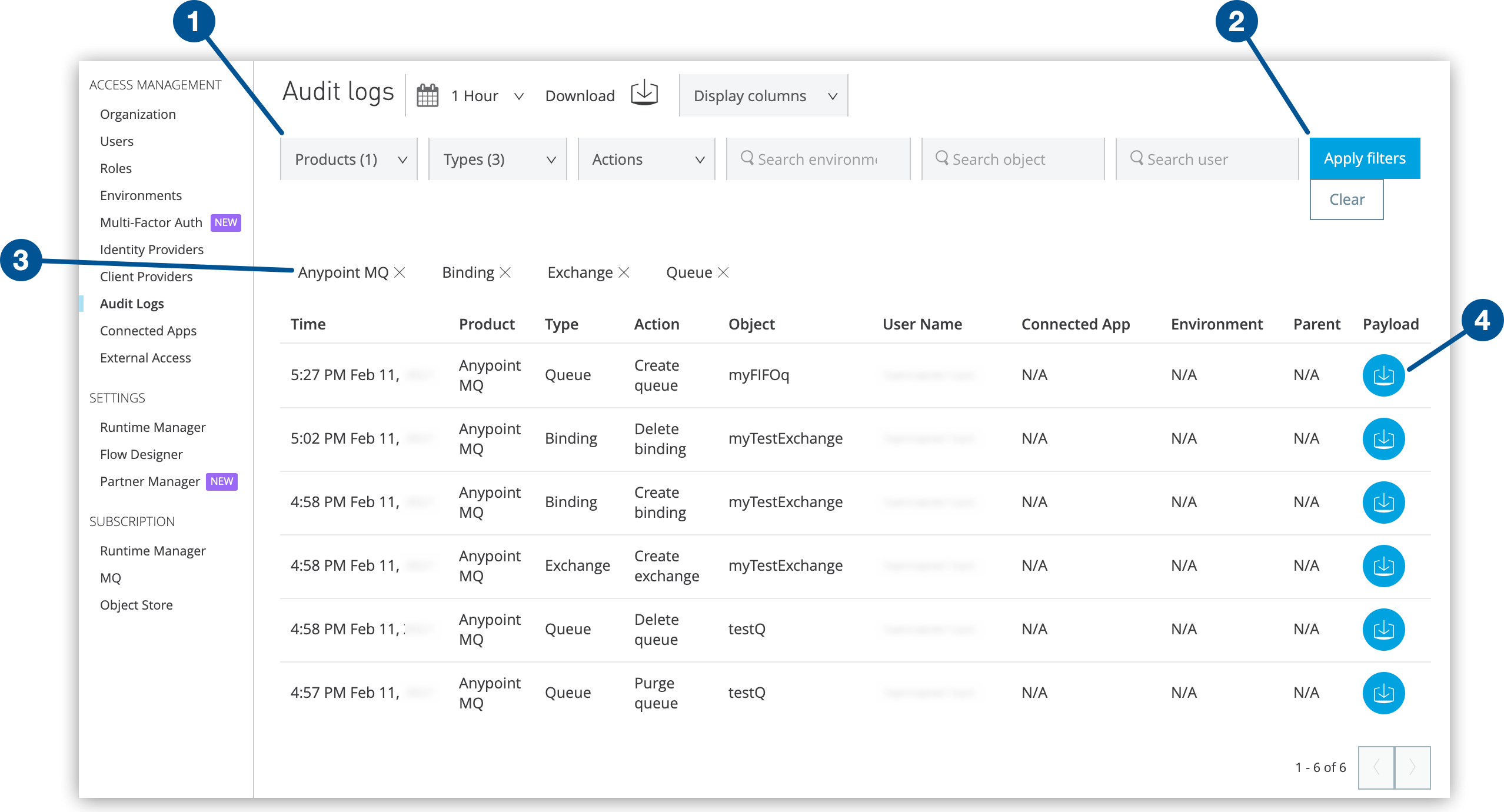Filters, Apply filters button, current filters, and Download payload button on the Audit logs page