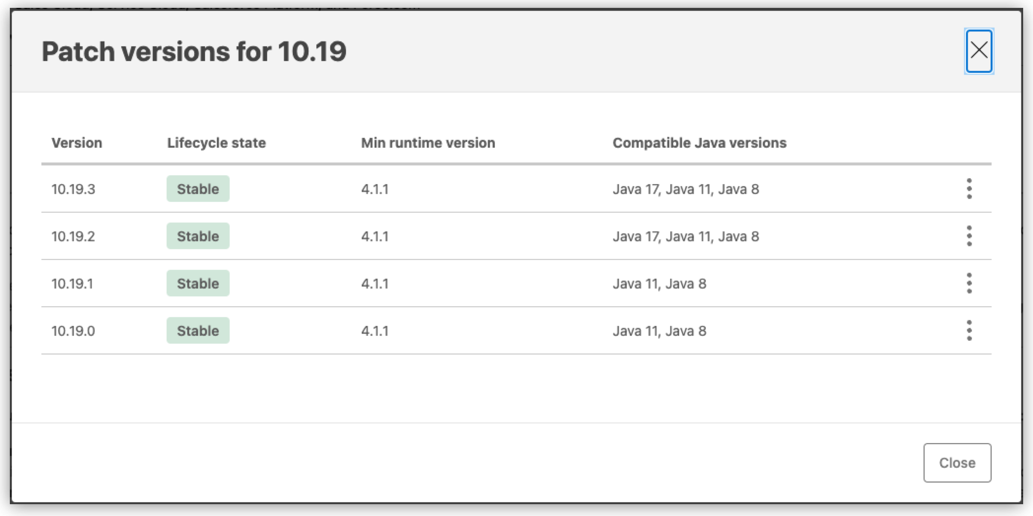 最小ランタイムバージョンおよび互換性のある Java バージョンを表示しているアセットバージョン