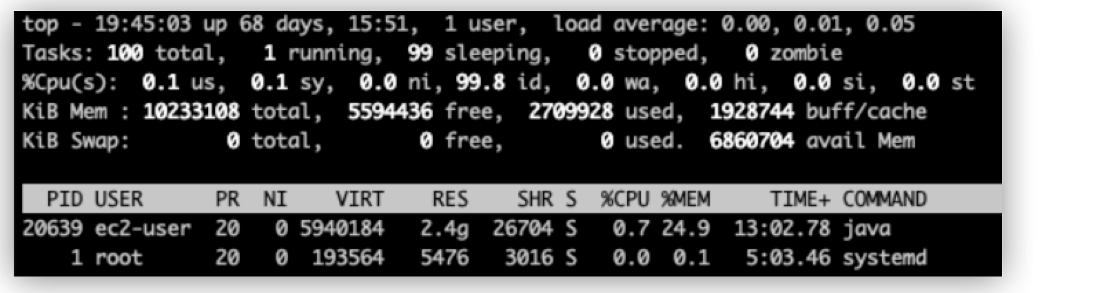プロセスの詳細 (CPU やメモリ使用量など) が表示されているシステム監視出力