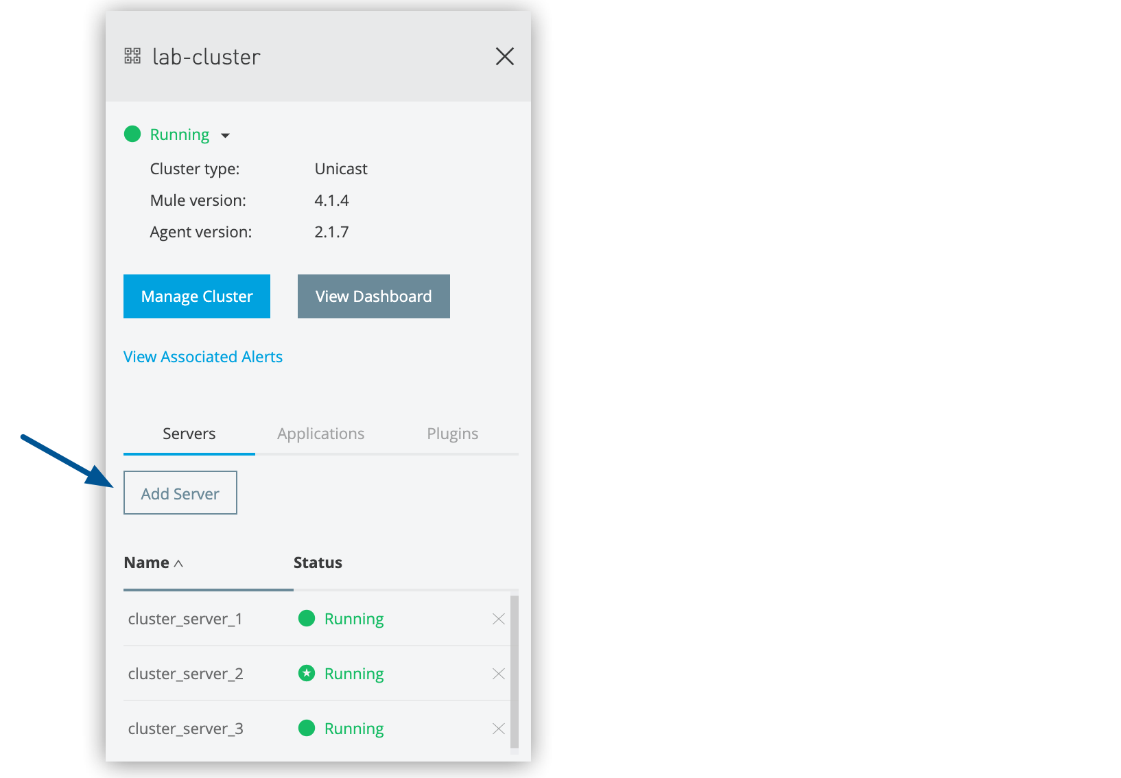 「Add Server (サーバーを追加)」 ボタン