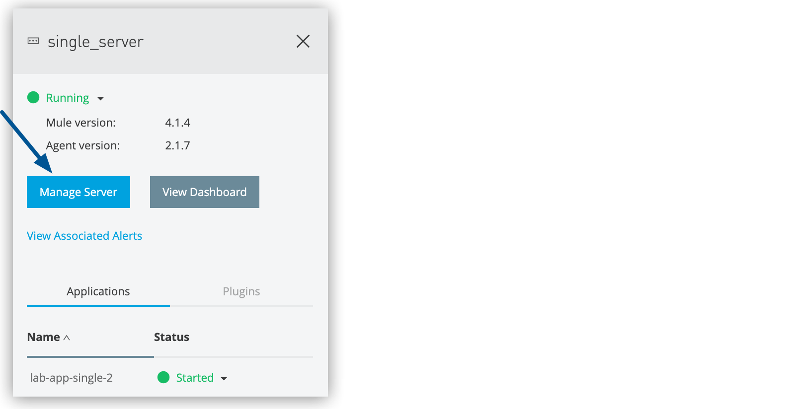 *[Manage Server (サーバーを管理)]* ボタン