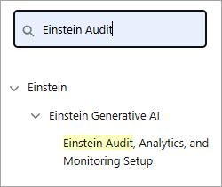 Zone de recherche rapide de configuration de l’organisation Salesforce recherchant la page de feedback Einstein.