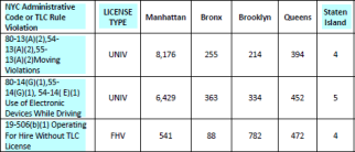 ニューヨーク市におけるライセンス違反の詳細を示す複数ラインの表の例。