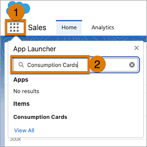 검색 상자에 소비량 카드가 표시된 Salesforce 앱 실행기입니다.