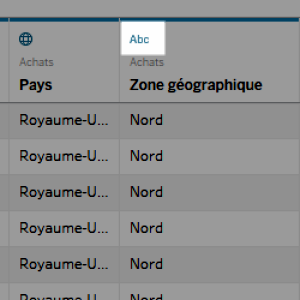 Pictogram Datatype gemarkeerd boven een tabel met data.