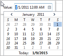 Ett värdefält med en kalender för val av ett konstant datumvärde.